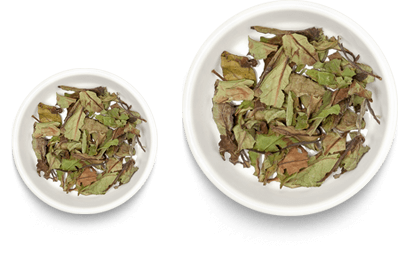 dust tea
